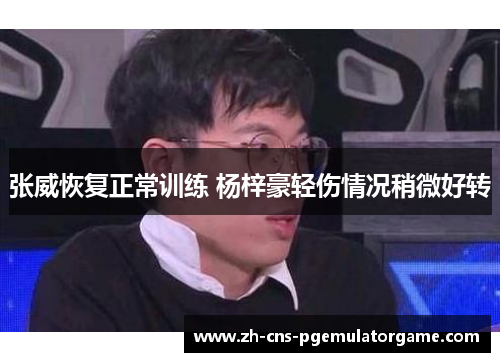 张威恢复正常训练 杨梓豪轻伤情况稍微好转