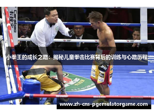 小拳王的成长之路：揭秘儿童拳击比赛背后的训练与心路历程