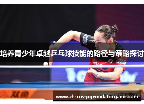 培养青少年卓越乒乓球技能的路径与策略探讨
