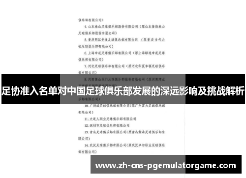 足协准入名单对中国足球俱乐部发展的深远影响及挑战解析