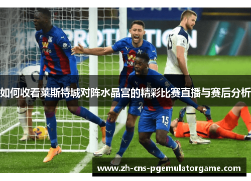 如何收看莱斯特城对阵水晶宫的精彩比赛直播与赛后分析
