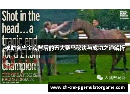 穆勒奢华金牌背后的五大赛马秘诀与成功之道解析