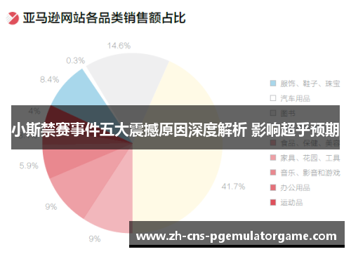 小斯禁赛事件五大震撼原因深度解析 影响超乎预期