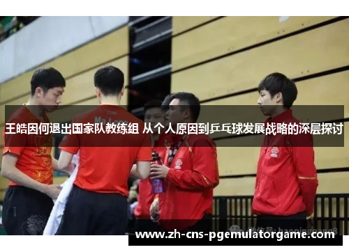 王皓因何退出国家队教练组 从个人原因到乒乓球发展战略的深层探讨