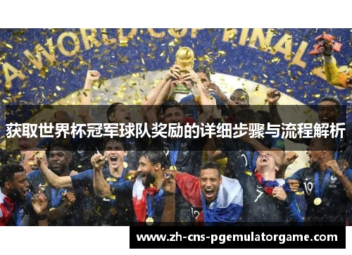 获取世界杯冠军球队奖励的详细步骤与流程解析