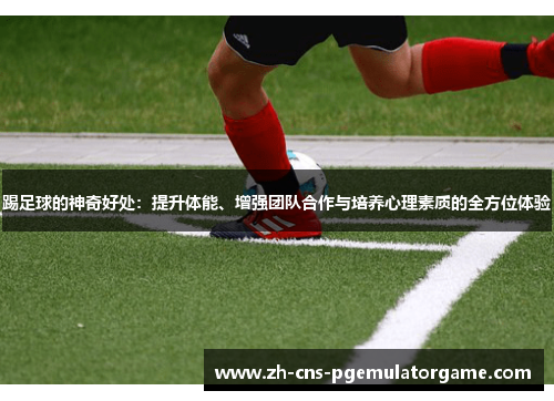 踢足球的神奇好处：提升体能、增强团队合作与培养心理素质的全方位体验
