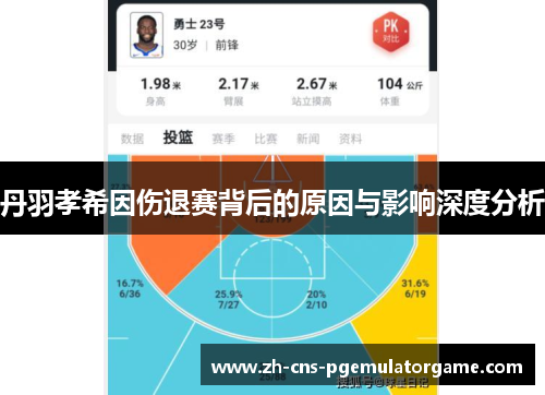 丹羽孝希因伤退赛背后的原因与影响深度分析
