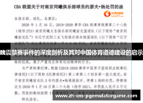 魏震禁赛事件的深度剖析及其对中国体育道德建设的启示