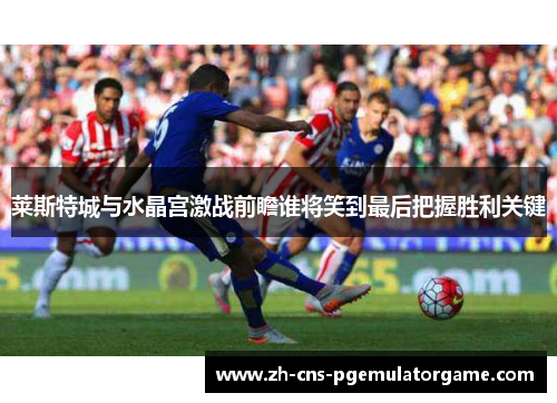莱斯特城与水晶宫激战前瞻谁将笑到最后把握胜利关键