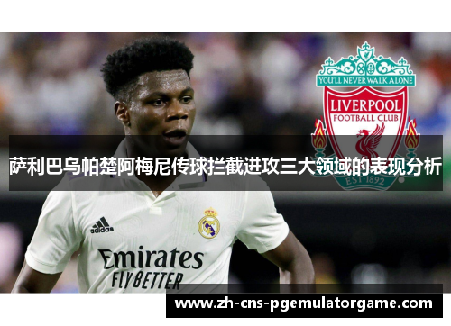 萨利巴乌帕楚阿梅尼传球拦截进攻三大领域的表现分析