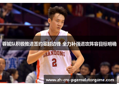 蓉城队积极推进签约塞超边锋 全力补强进攻阵容目标明确