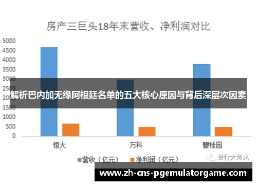解析巴内加无缘阿根廷名单的五大核心原因与背后深层次因素