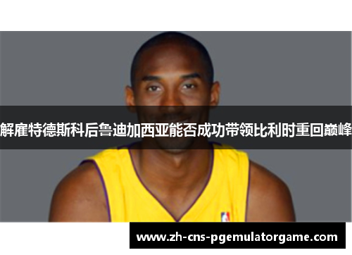 解雇特德斯科后鲁迪加西亚能否成功带领比利时重回巅峰