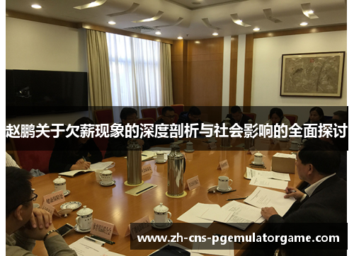 赵鹏关于欠薪现象的深度剖析与社会影响的全面探讨