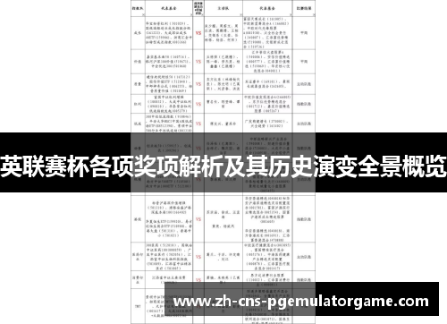 英联赛杯各项奖项解析及其历史演变全景概览