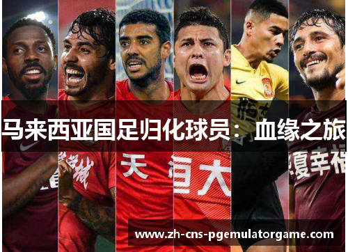 马来西亚国足归化球员：血缘之旅