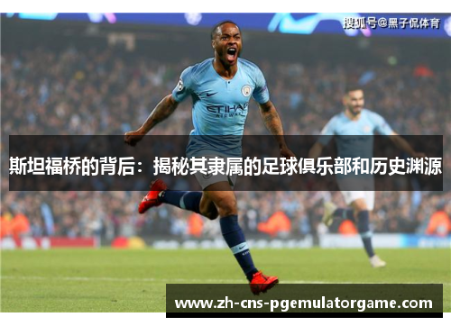 斯坦福桥的背后：揭秘其隶属的足球俱乐部和历史渊源