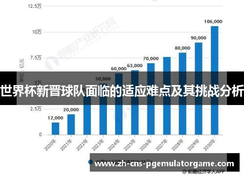 世界杯新晋球队面临的适应难点及其挑战分析