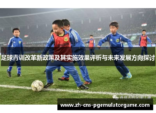 足球青训改革新政策及其实施效果评析与未来发展方向探讨
